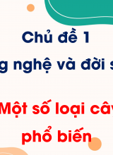 Chủ đề 1 - Bài 3 Một số loại cây cảnh phổ biến